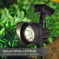 Solar powered LED Spot Light in a garden setting
