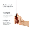 Ciara Ceiling Fan with Light - 3 Blades - Bleach Maple feature callouts on chain, motor and room capacity