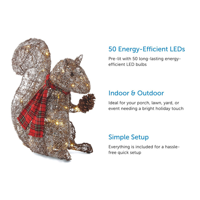 Frosted Squirrel with Acorn on Left Side of Image. 3 Feature Call Outs on Right Side. White Background.