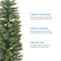 Farrow Potted Tree Close Up on Left Side of Image. 3 Feature Call Outs on Right Side. White Background