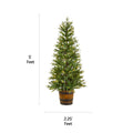 NOMA 5 Ft Arctic Spruce Potted Christmas Tree with a horizontal and vertical indicating size measurements. White Background