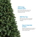 Close-Up of Kawartha Pine Christmas Tree on Left Side of Image. 3 Feature Call Outs on Right Side. White Background.