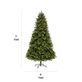 NOMA 7 Ft Durand Pine Christmas Tree with 400 Warm White Incandescent Lights. Horizontal and Vertical Lines on Left Indicating Tree Measurements. White Background