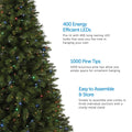 Close-Up of Henry Fir Christmas Tree with Multi-Color Lights on Left Side of Image. 3 Feature Call Outs on Right Side. White Background