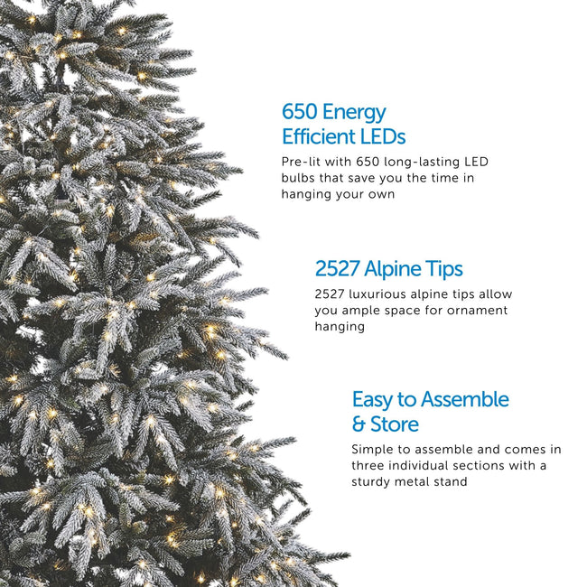 Close-Up of Snow Dusted Alpine Christmas Tree on Left Side of Image. 3 Feature Call Outs on Right Side. White Background.