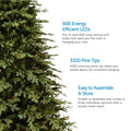 Partially Visible Appalachian Pine Christmas Tree with Multi-Color Lights on Left Side. 3 Feature Call Outs on Right Side of Image. White Background