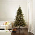 Appalachian Pine Christmas Tree Indoors on Wooden Floor. White Couch and Carpet Left of Tree. Woven Toy Basket Underneath Tree on Left Side. White Accented Wallas.