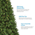 Collins Pine Christmas Tree on Left Side of Image. 3 Feature Call Outs on Right Side. White Background.