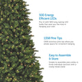 Partially Visible Colorado Pine Christmas Tree on Left Side of Image. 3 Feature Call Outs on Right Side. White Background.