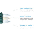 3 Feature Call Outs on Right Side and 3 Warm & Pure White Mini LED Bulbs on Left Side, on a White Background