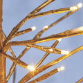 Close-Up of Golden Tree Branches and the Warm White Mini LED Bulbs.