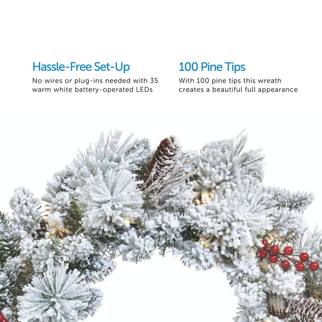 technology-Snow Dusted Berry 24-Inch Pre-Lit Christmas Wreath