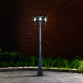 Black lamp post installed in concrete and surrounded by a garden
