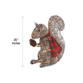 NOMA 20-inch Pre-Lit Frosted Squirrel with Acorn, Red Scarf and 50 Warm White LED Bulbs. Vertical Line on Left Indicating 20-inch Height Measurement. White Background.