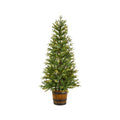 NOMA 5 Ft Arctic Spruce Potted Christmas Tree with 200 Micro-Brite LED Lights. Product Image on White Background