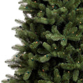 Close-Up of Hudson Spruce Christmas Tree, Showcasing The Spruce Tips and Lights. White Background