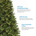 Close-Up of Durand Pine Christmas Tree on Left Side of Image. 3 Feature Call Outs on Right Side. White Background