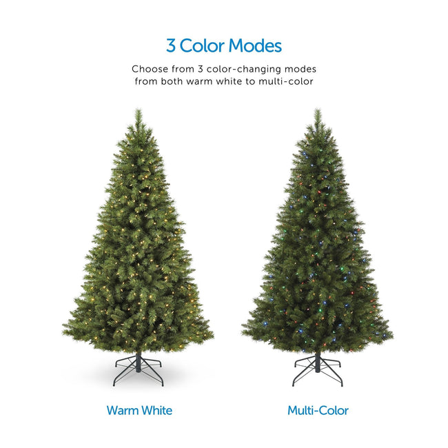 Color Mode Feature Call Out, Top Center of Page. Two Henry Fir Tree Images in Center one Depicting Warm White Lights, The Other with Multi-Color Lights. White Background