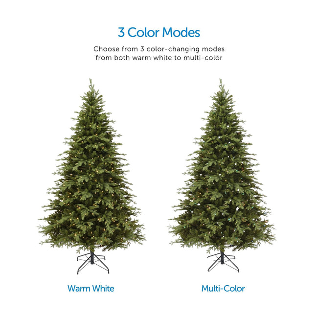 Color Mode Feature Call Out, Top Center of Page. Two Appalachian Pine Tree Images in Center one Depicting Warm White Lights, The Other with Multi-Color Lights. White Background