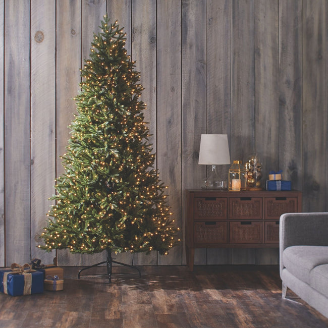 Piedmont Fir Christmas Tree with Warm White Lights. Pale Wooden Panel Background. Presents on the Bottom Left of the Tree. Side Table on the Right of the Tree.