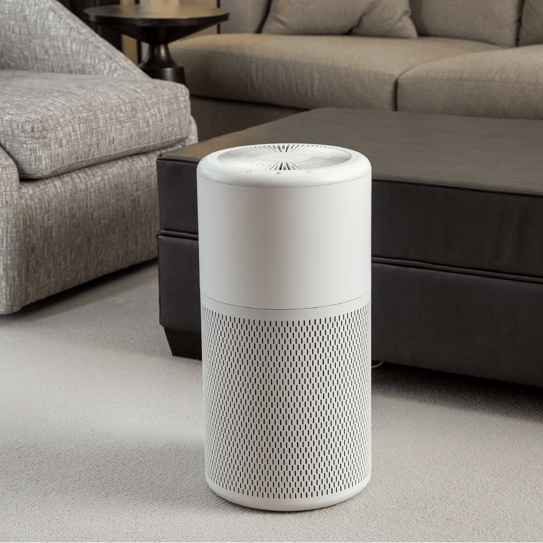 NOMA True HEPA Air Purifiers - Remove 99.97% of allergens