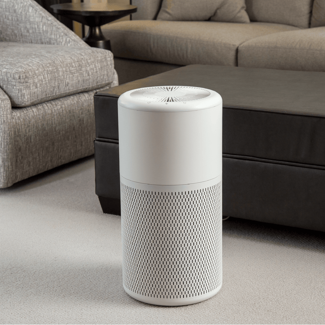 technology-Air Purifier True HEPA With Ionizer And Washable Filter For Large Rooms