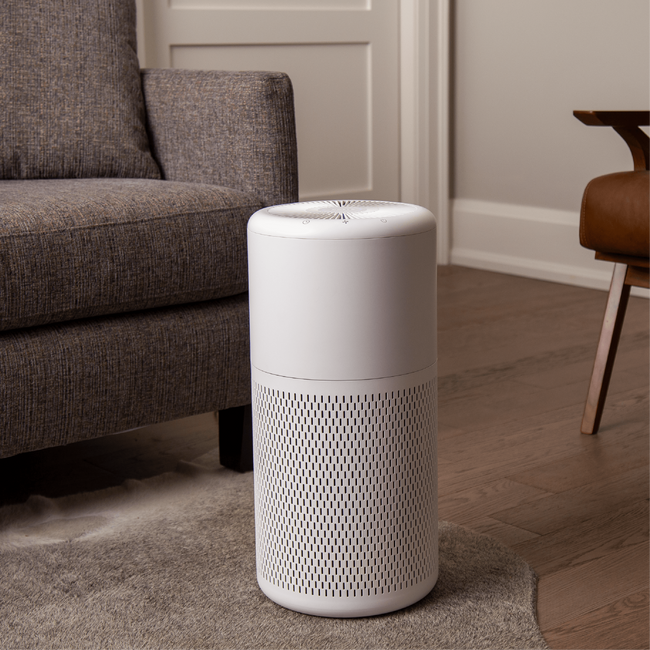 True hepa air purifier with washable filter deals